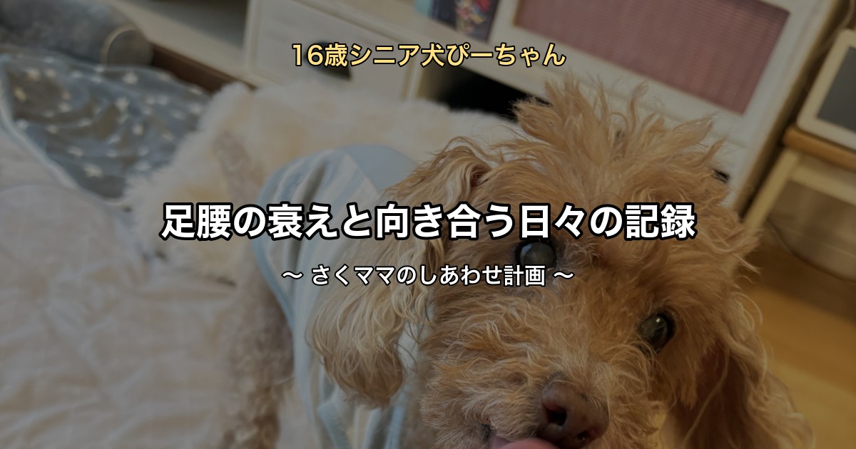 ぴーちゃんアイキャッチ